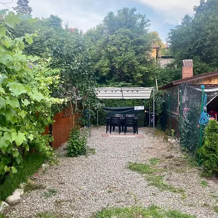 Ely's Place